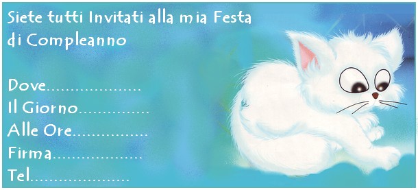 invito gattino bianco