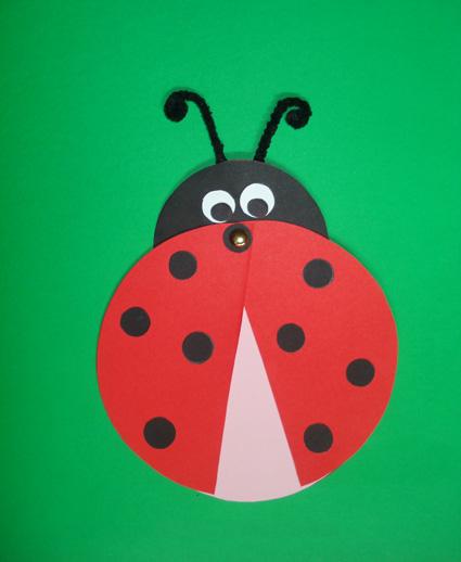 biglietto coccinella 9